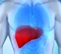 Dia Mundial da Luta Contra Hepatites Virais: doenças ainda são subnotificadas