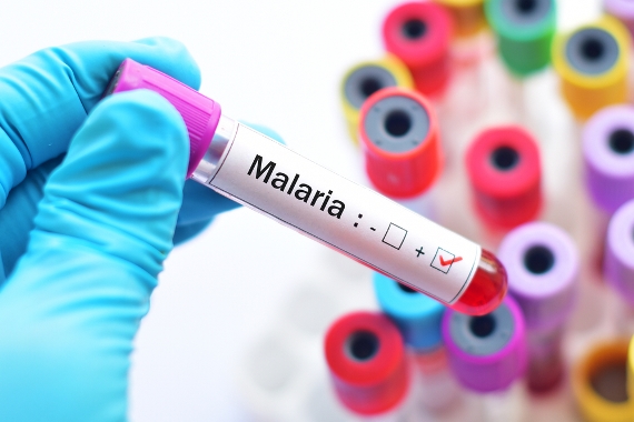 Brasil reduz em 38% casos de malária