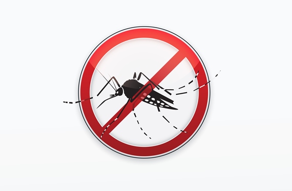 Prefeitos recebem carta de compromisso para combater Aedes aegypti