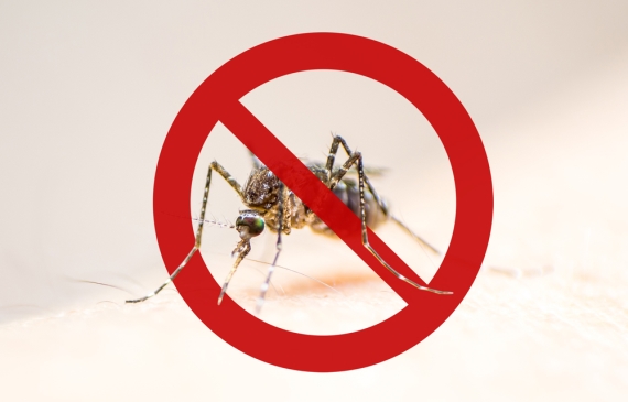Governo Federal convoca postos de saúde, de assistência social e escolas para combater Aedes aegypti