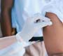 Secretaria de Estado de Saúde espera imunizar 4,8 milhões de pessoas contra a influenza