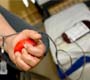 Hemorio alerta: doação de sangue só pode ser feita quatro semanas após vacina da febre amarela