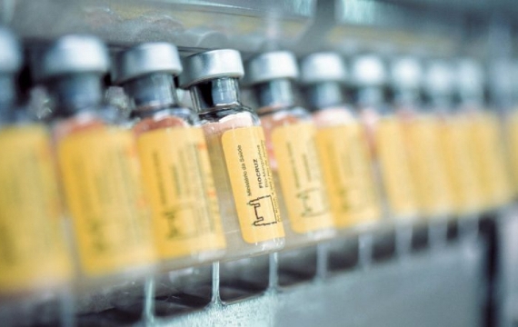 Dez milhões ainda precisam se vacinar contra febre amarela no país