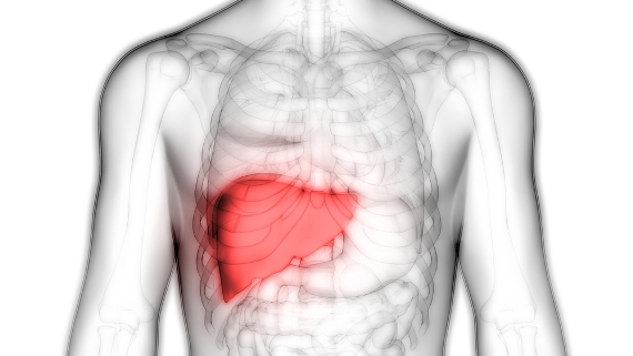 Brasil anuncia plano nacional para eliminação da hepatite C até 2030 