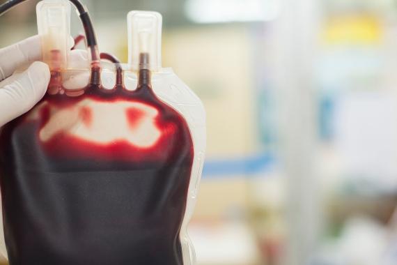 É possível salvar quatro vidas com apenas uma doação de sangue