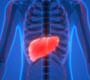 Dados da OMS indicam importância do diagnóstico e tratamento das hepatites 