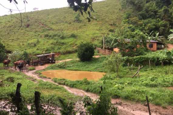Febre amarela: SES se reúne com profissionais de assistência e vigilância de Valença