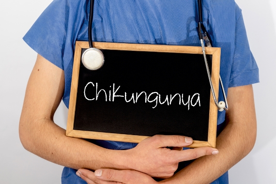Chikungunya: saiba mais sobre a doença e seus sintomas
