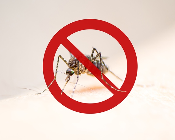 Jogos Olímpicos: quais os riscos e como se prevenir de doenças transmitidas por mosquitos
