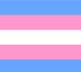 Dia Nacional da Visibilidade Trans: uma causa de saúde pública