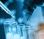 Estudo analisa bactéria associada a imunidade contra meningite