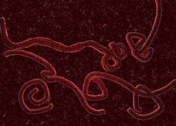 Nota à população - Ebola (atualizado em 15/10/2014)