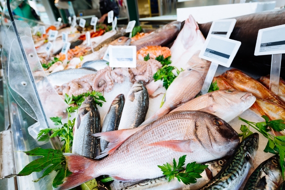Semana Santa: cuidados na hora de comprar pescados
