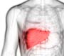 Brasil anuncia plano nacional para eliminação da hepatite C até 2030 