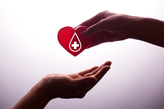 Dia Nacional do Doador de Sangue: quem pode doar?