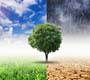 Estudo alerta para impactos das mudanças climáticas na saúde