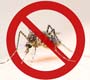 País terá neste sábado Dia de Mobilização para combate ao Aedes aegypti