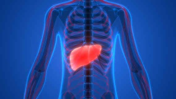 Dados da OMS indicam importância do diagnóstico e tratamento das hepatites 