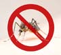 Jogos Olímpicos: quais os riscos e como se prevenir de doenças transmitidas por mosquitos