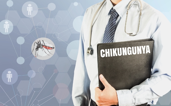 Chikungunya: Rede Replick é lançada no Rio de Janeiro