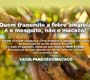 Febre amarela: desinformação e desconhecimento tem feito população agredir e matar macacos