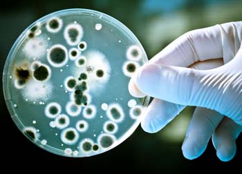Bactérias multirresistentes: estado elabora plano de contingência para diminuir número de infecções