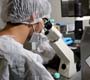 Universidades do Rio aceleram estudos sobre o zika vírus