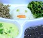 Dia da Nutrição: Alimentação nutritiva em hospitais ajuda na recuperação da saúde