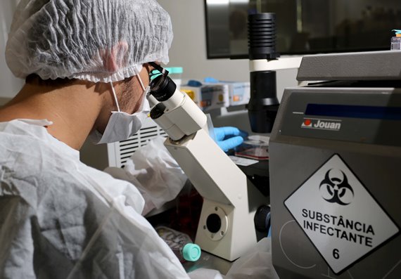 Universidades do Rio aceleram estudos sobre o zika vírus