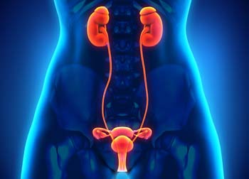 Doença renal crônica atinge 10% da população mundial