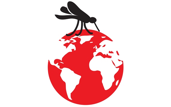 Relatório da OMS mostra que houve aumento de casos de malária no mundo