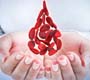 Trote Solidário leva mutirão de doação de sangue para faculdades