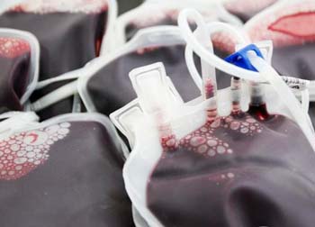 Trote Solidário do Hemorio supera meta e arrecada 651 bolsas de sangue