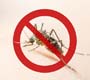 Toda sexta-feira será o dia de combate ao Aedes aegypti 