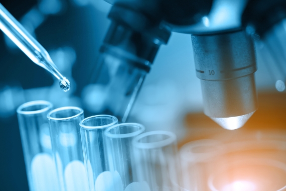 Estudo analisa bactéria associada a imunidade contra meningite