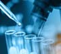 Estudo da Fiocruz indica que medicamento protege células de danos causados pelo vírus zika