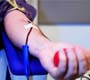 Hemorio convoca população para doar sangue
