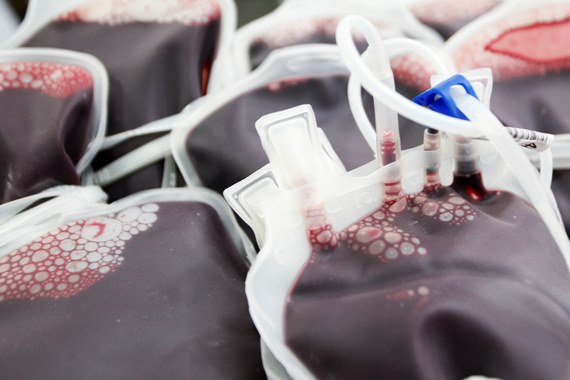 Campanha Junho Vermelho incentiva doação de sangue