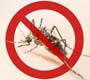 Semana Nacional de Combate ao Aedes começou ontem