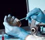 Não há registro de circulação do vírus da Febre Chikungunya no RJ