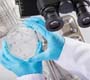 Febre amarela: estudo identifica mosquitos causadores de surtos