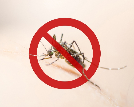 Semana Nacional de Combate ao Aedes começou ontem