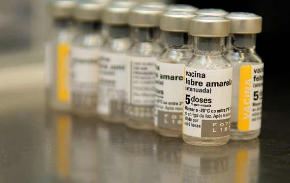 Hemorio continua a vacinar contra a febre amarela
